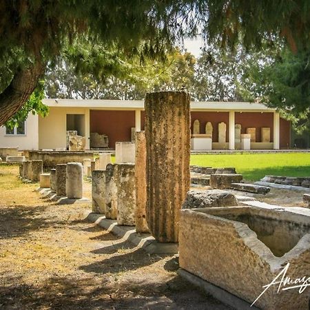 Seaside Villa Andronikos Амаринтос Экстерьер фото